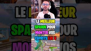 Le MEILLEUR SPAWN pour XP vos ESPRITS