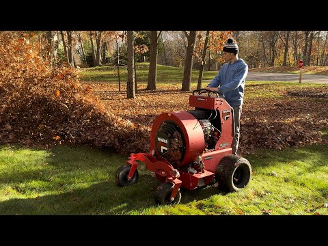 Leaf Cleanup!! Blowing leaves with a 3 man crew!