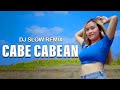 Cabe Cabean DJ Slow Remix Paprinka DJ Goyan Goyang