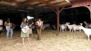The Ditty Bops @ Redwood Hills Goat Farm: &quot;In The Meantime&quot;