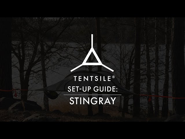 Video Teaser für How to set-up the Tentsile Stingray 3-Person Tree Tent