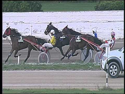 Trotto 14/10/2016 - 1ª corsa