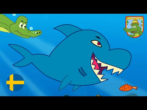 Hajen - Arne Alligator & Djungeltrumman