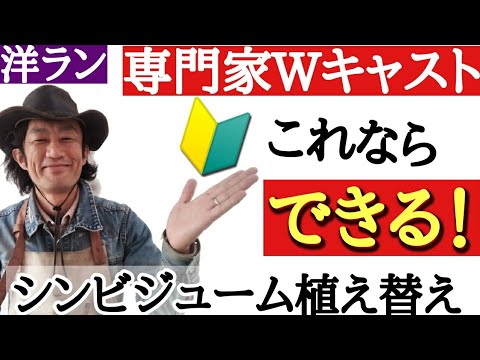 園芸 シンビジウムに関するよくある質問