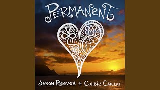 Permanent (feat. Colbie Caillat)