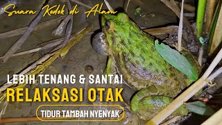 Download lagu Mars Frog Sounds 2 Hours mp3 Download lagu Mars Frog Sounds 2 Hours mp3