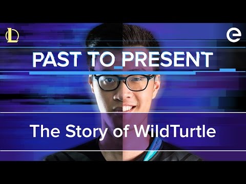Past to Present: The Story of WildTurtle