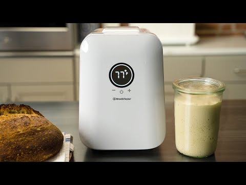 The Sourdough Home and Temperature Control