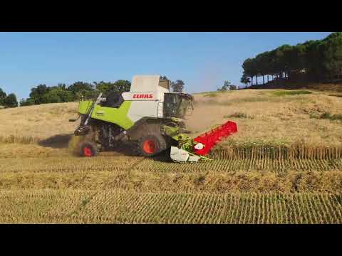Nuova TRION 540 MONTANA 4| Performance