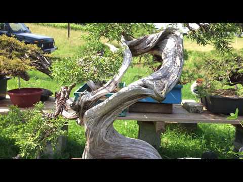 Josip Otmačić Garden, May 2018.