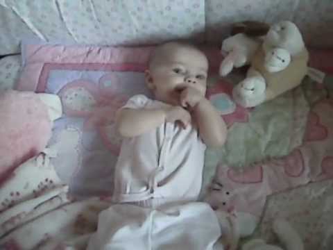 Savannah in the morning