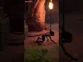 Gollum Hands On PREVIEW