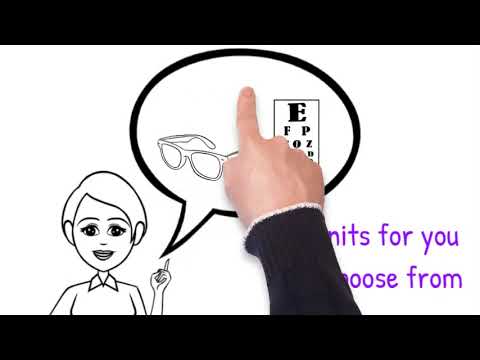 Level 2 Optical Assistant