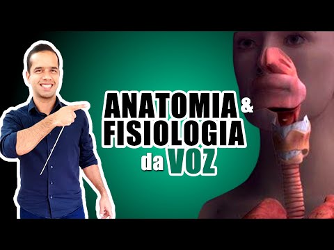 Anatomia e fisiologia da Voz