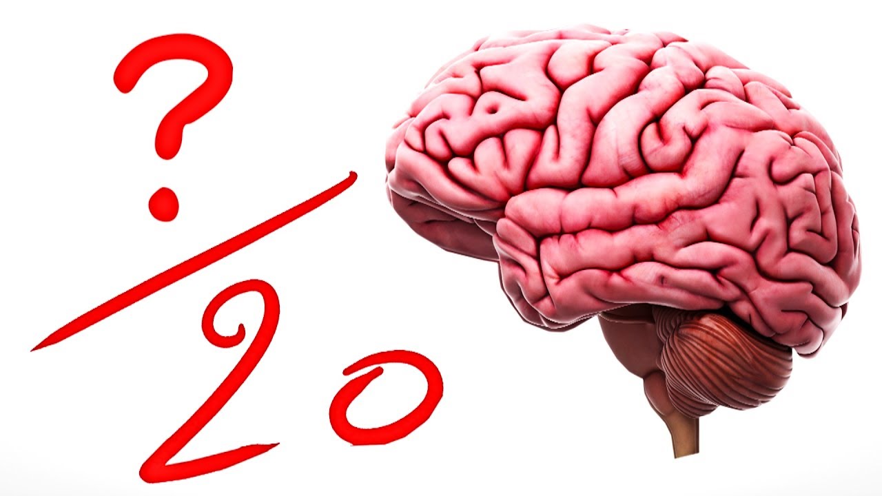 QUELLE NOTE A VOTRE CERVEAU ? thumbnail