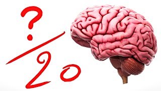 QUELLE NOTE A VOTRE CERVEAU 