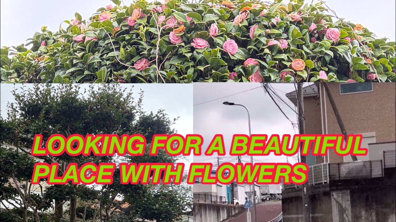 LOOKING FOR BEAUTIFUL PLACES OUTSIDE 