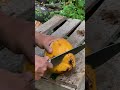 Satisfying Asmr How To Cut Open A Green Coconut Easily