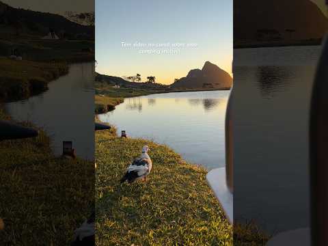 Camping terra de gigantes - Alfredo Wagner/SC
