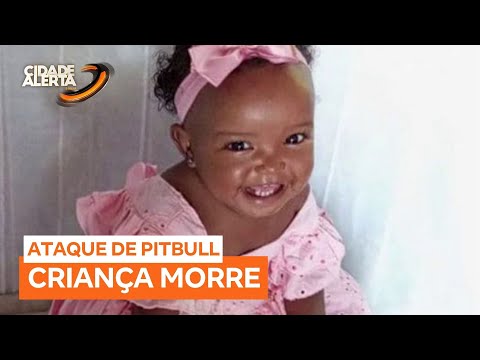 Bebê de 1 ano morre após ataque de pitbull em parquinho de pizzaria, em Jaguaripe (BA)