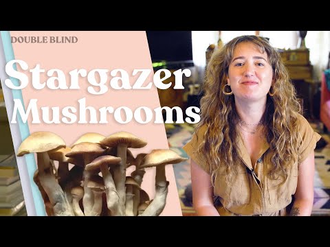 Stargazer Mushrooms 🔭 | DoubleBlind
