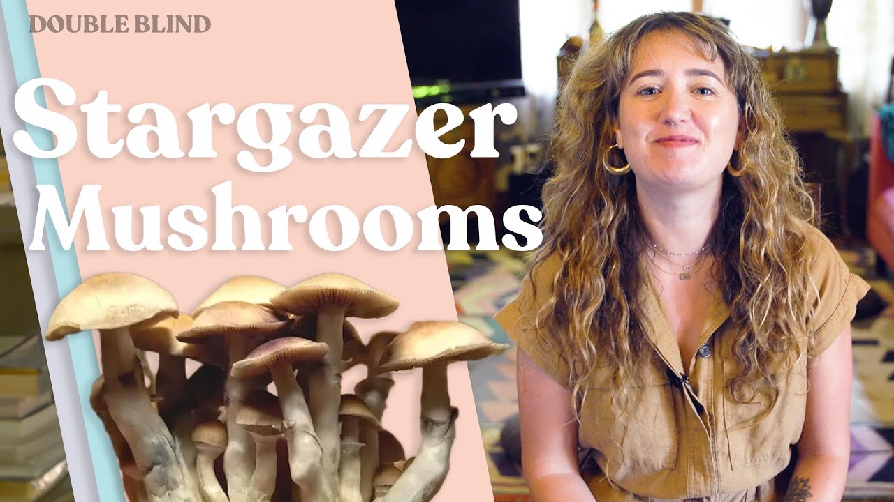 Stargazer Mushrooms 🔭 | DoubleBlind