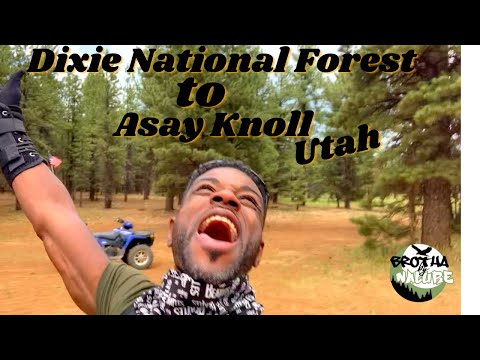 Dixie National Forest to Asay Knoll, Utah (BBN Ep6)