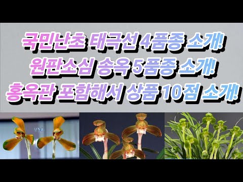 유튜브 썸네일