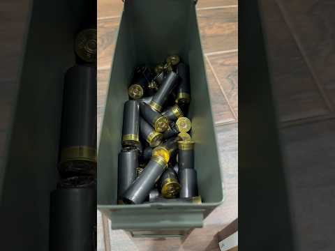 Shotgun shell storage, open, dump, store #12gauge #shotgun #viral #ammo #asmr #shorts
