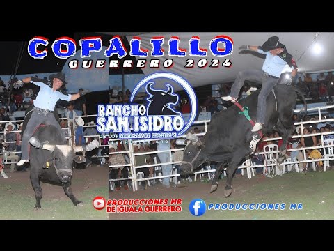 💥TUMB4NDO A UN GRAN JINETE RANCHO SAN ISIDRO  EN COPALILLO GRO. 13 AGOSTO 2024