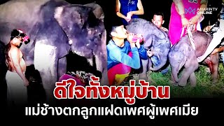 ดีใจทั้งหมู่บ้าน แม่ช้าง  ดีใจทั้งหมู่บ้าน แม่ช้าง