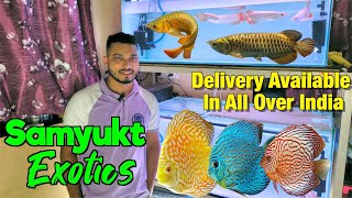 Exotic Fish Stock at Samyukt Exotics I Delivery Avialable All Over India