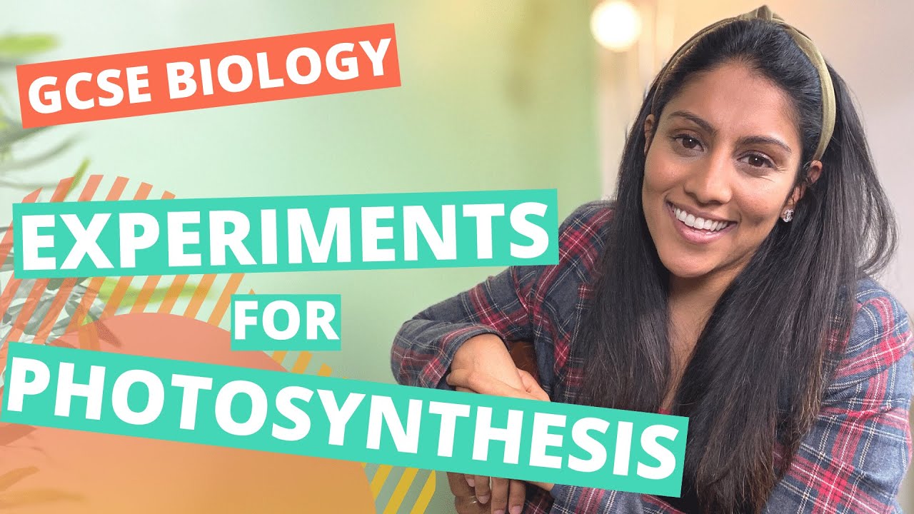 Required Practical for Photosynthesis | GCSE / IGCSE Biology