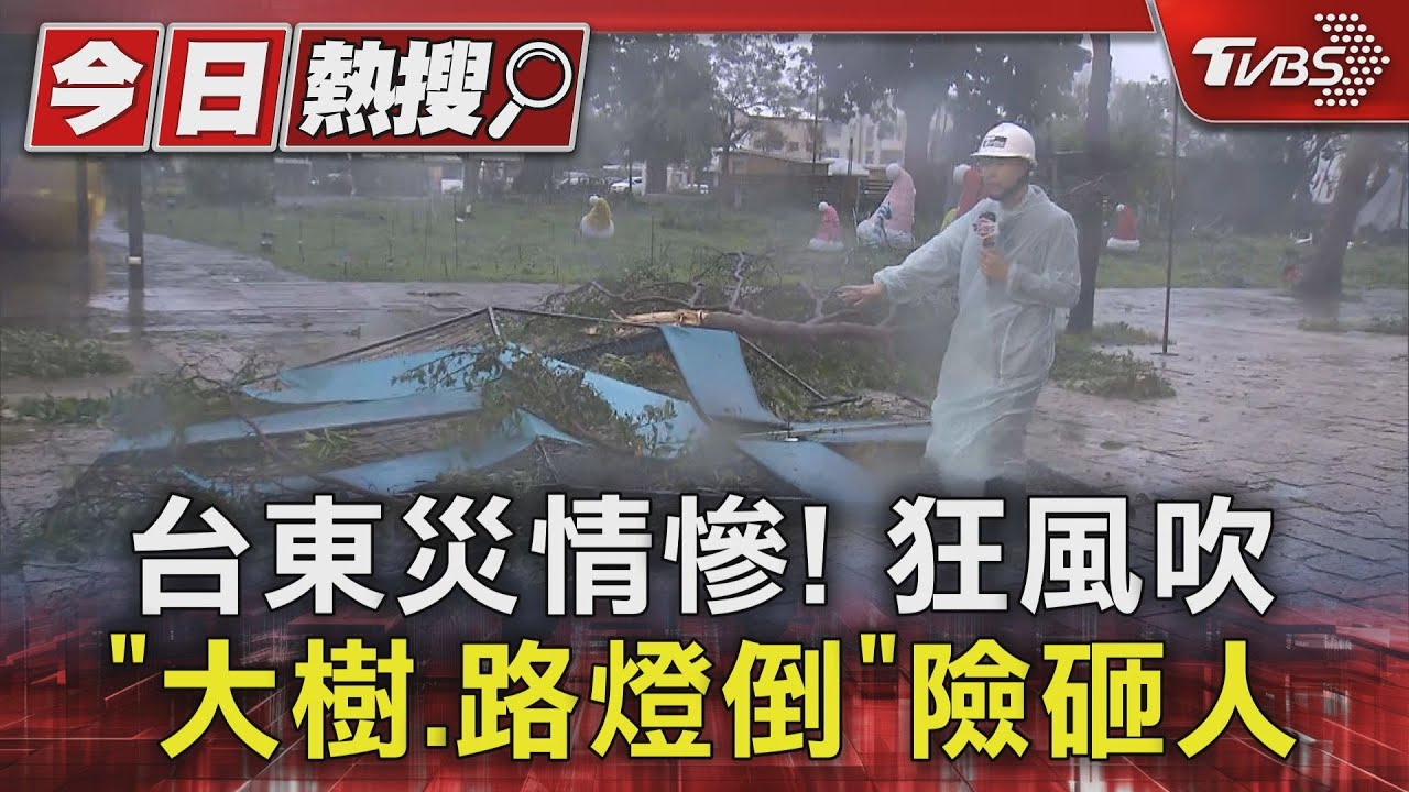 台東災情慘! 狂風吹「大樹、路燈倒」險砸人