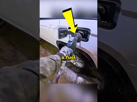 The End Is Hilarious! 😂