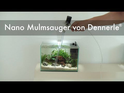 Watch Video on YouTube