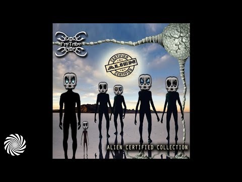 Kalilaskov As & Damender - Freedom