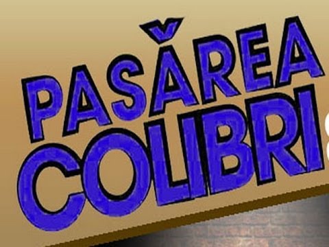 Pasarea Colibri-Aniversare 10 ani