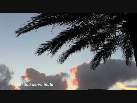 260 Hino CCB Sou servo inútil