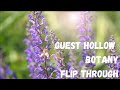 Discover Guest Hollow's Botany for Middle and High School | Homeschool Curriculum Flip Through