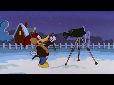 Woody Woodpecker s01e81