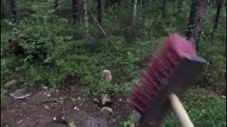 FUNNY Finnish man scares a bear away by shouting P