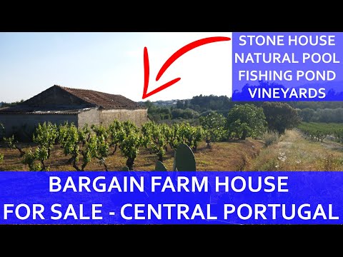 BARGAIN FARM FOR SALE - NATURAL SWIMMING POOL, FISHING POND, VINEYARDS - SELF SUFFICIENT IN PORTUGAL