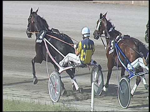 Trotto 04/06/2016 - 5° corsa