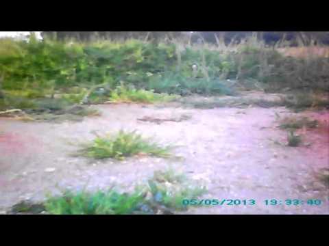 V-929 1er Vuelo exterior