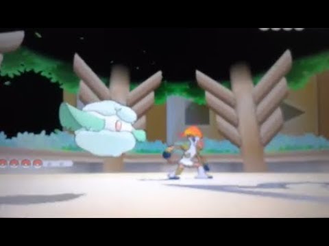 VGC16: vs Yunier Antonio - Swiss 2 / Top 8 - Open Panama