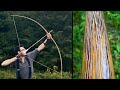 Woodlands Warbow: Natural Plant Stains for Bow Making and other Crafts