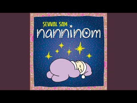 Uyku Perisi - Şevval Sam