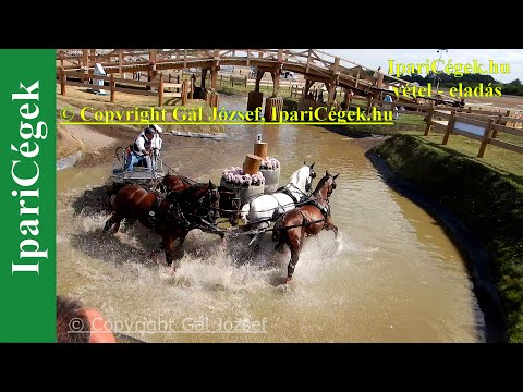 Fogathajtás, BABO Kalman (40), ROU, 7s, Marathon, 4K, Bp., 2021., sv4K210904-3-1267-220130