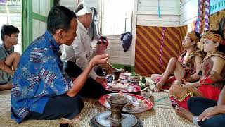 Download lagu Pernikahan adat Dayak ahe mp3